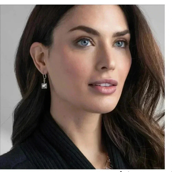 Touchstone Crystal by Swarovski Prima Earrings, Silver Shade - Picture 2 of 4